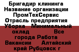 Бригадир клининга › Название организации ­ ПромТехСервис › Отрасль предприятия ­ Уборка › Минимальный оклад ­ 30 000 - Все города Работа » Вакансии   . Алтайский край,Рубцовск г.